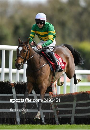 Punchestown Festival - Day Two