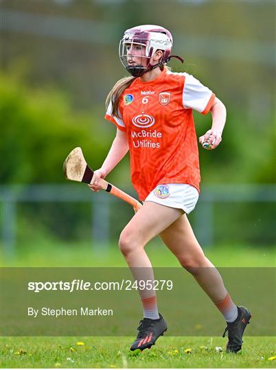 Armagh v Down  - Electric Ireland Camogie Minor C All-Ireland Championship Semi-Final