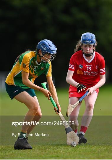 Donegal v Tyrone - Electric Ireland Camogie Minor C All-Ireland Championship Shield Final