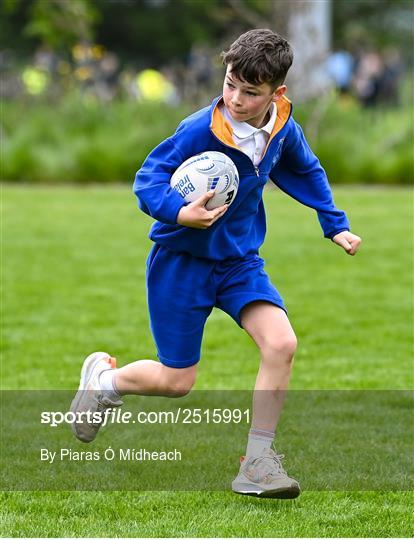 Leinster Rugby DLR Region Primary School Blitz