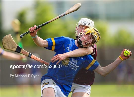 Galway v Tipperary - Celtic Challenge Cup Finals