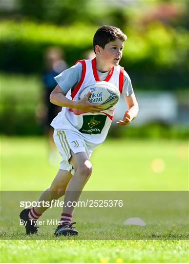 Leinster Rugby kids blitz