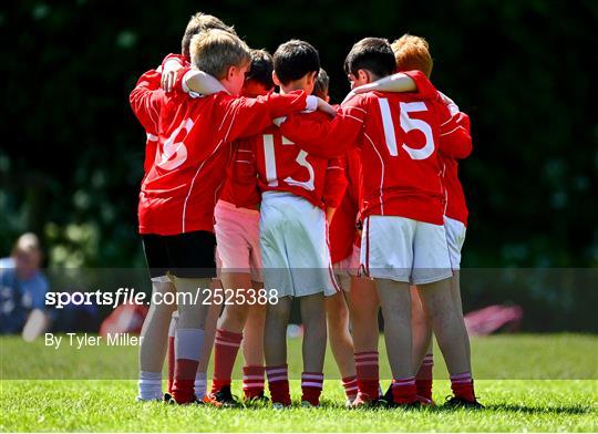 Leinster Rugby kids blitz