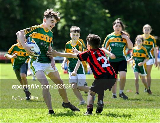 Leinster Rugby kids blitz