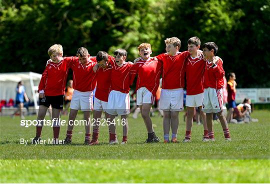Leinster Rugby kids blitz