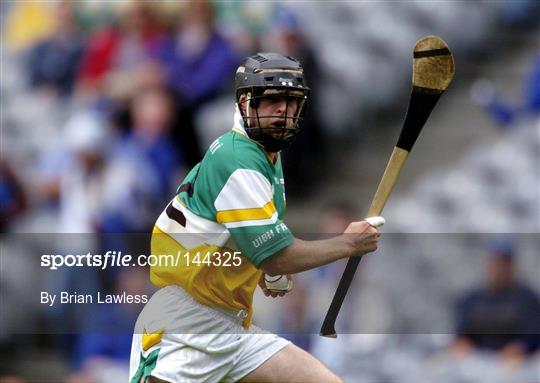 Sportsfile - Dublin v Offaly - 144325