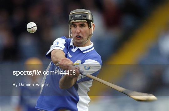 Sportsfile - Laois v Westmeath - 144408