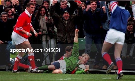Ireland v Wales - Five Nations Rugby Championship 1996