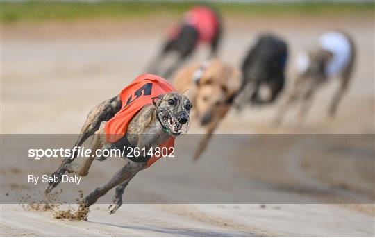 2023 BoyleSports Irish Greyhound Derby