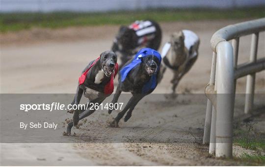 2023 BoyleSports Irish Greyhound Derby