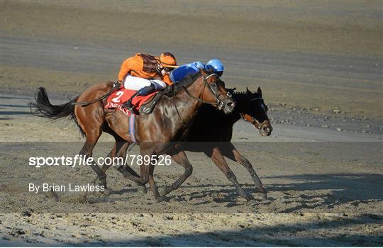 Laytown Races - Tuesday 3rd September