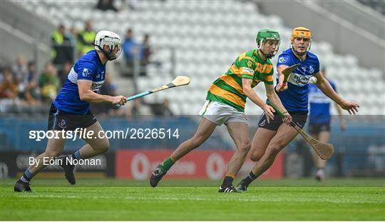 Blackrock v Sarsfields - Cork County Premier Senior Club Hurling Championship Quarter-Final