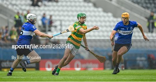 Blackrock v Sarsfields - Cork County Premier Senior Club Hurling Championship Quarter-Final