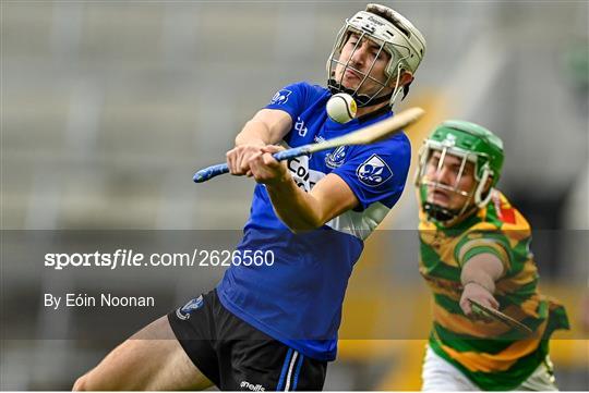 Blackrock v Sarsfields - Cork County Premier Senior Club Hurling Championship Quarter-Final