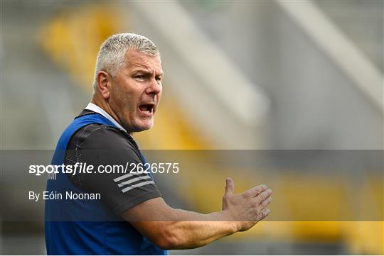 Blackrock v Sarsfields - Cork County Premier Senior Club Hurling Championship Quarter-Final