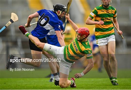 Blackrock v Sarsfields - Cork County Premier Senior Club Hurling Championship Quarter-Final