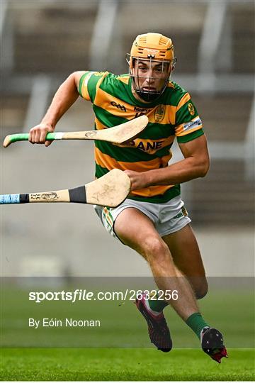 Blackrock v Sarsfields - Cork County Premier Senior Club Hurling Championship Quarter-Final