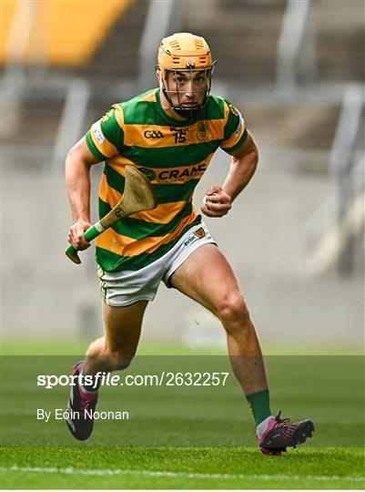 Blackrock v Sarsfields - Cork County Premier Senior Club Hurling Championship Quarter-Final