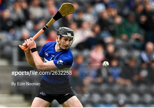 Blackrock v Sarsfields - Cork County Premier Senior Club Hurling Championship Quarter-Final