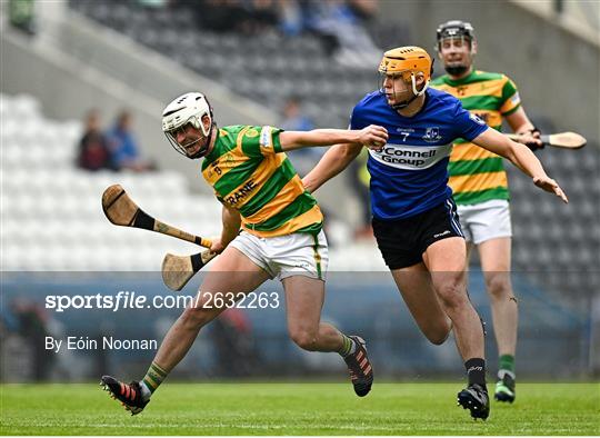 Blackrock v Sarsfields - Cork County Premier Senior Club Hurling Championship Quarter-Final