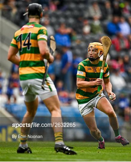 Blackrock v Sarsfields - Cork County Premier Senior Club Hurling Championship Quarter-Final