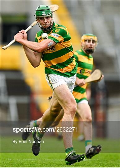 Blackrock v Sarsfields - Cork County Premier Senior Club Hurling Championship Quarter-Final