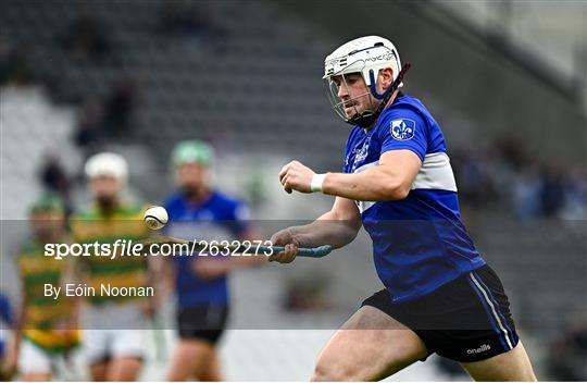 Blackrock v Sarsfields - Cork County Premier Senior Club Hurling Championship Quarter-Final