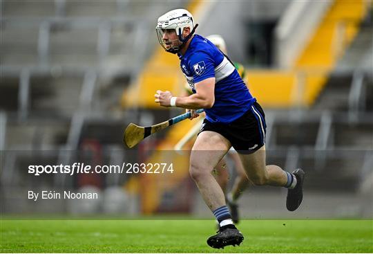 Blackrock v Sarsfields - Cork County Premier Senior Club Hurling Championship Quarter-Final