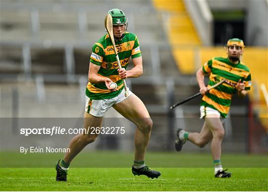 Blackrock v Sarsfields - Cork County Premier Senior Club Hurling Championship Quarter-Final