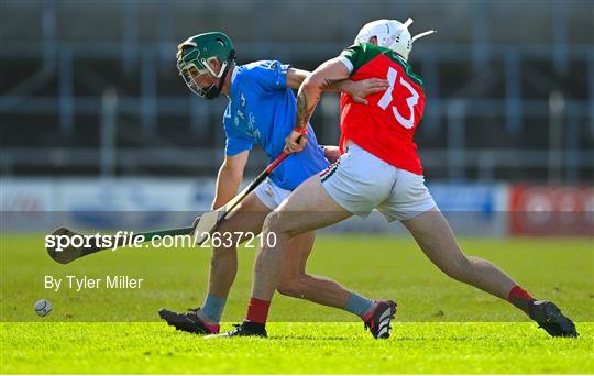 James Stephens v Graigue Ballycallan - Kilkenny County Senior Hurling Championship Quarter-Final