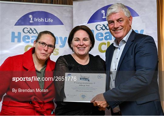 Irish Life GAA Healthy Clubs Recognition - Leinster