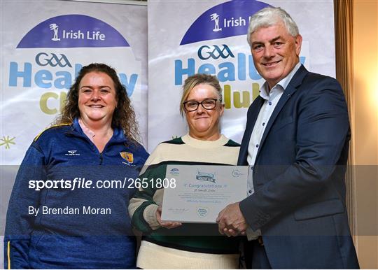 Irish Life GAA Healthy Clubs Recognition - Leinster