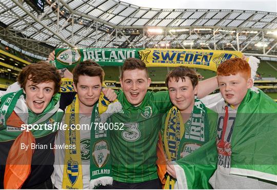 Supporters at Republic of Ireland v Sweden - 2014 FIFA World Cup Qualifier Group C