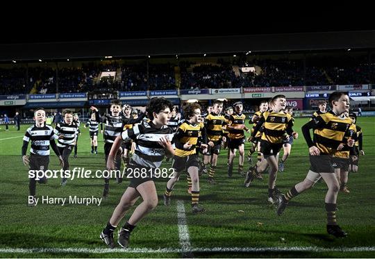 Bank of Ireland Half-Time Minis at Leinster v Scarlets - United Rugby Championship
