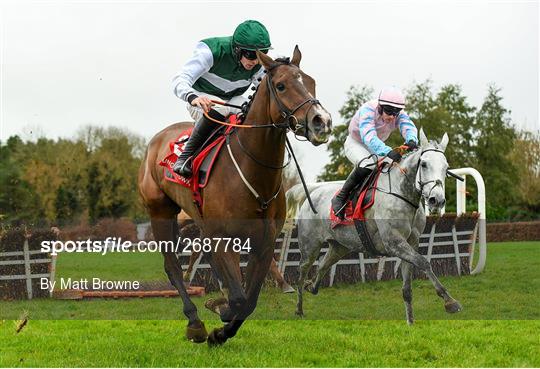 Punchestown Winter Festival - Day 2