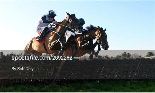 Fairyhouse Winter Festival - Day Two