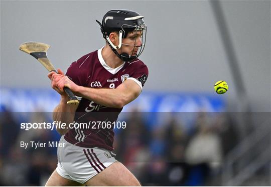 Roscommon v Galway - Connacht Hurling League Shield Final