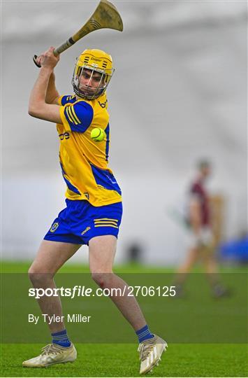 Roscommon v Galway - Connacht Hurling League Shield Final