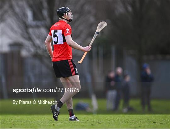 Mary Immaculate College Limerick v UCC - Electric Ireland Higher Education GAA Fitzgibbon Cup Round 2
