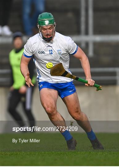 Offaly v Waterford - Allianz Hurling League Division 1 Group A