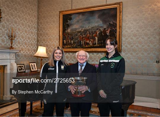 President of Ireland Receives FAI President's Cup Representatives