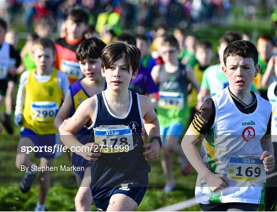 123.ie National Intermediate, Masters & Juvenile B Cross Country Championships