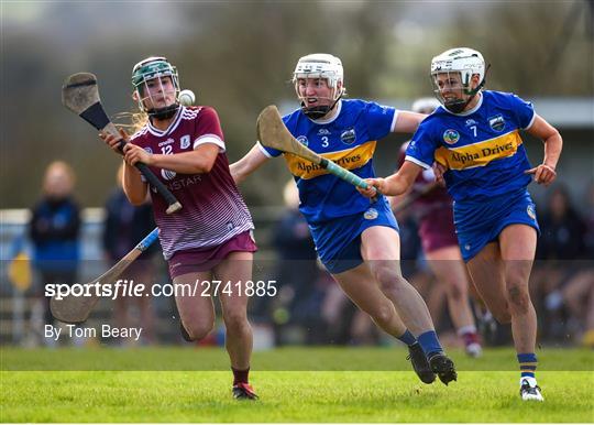 Tipperary v Galway - Very Camogie League Division 1