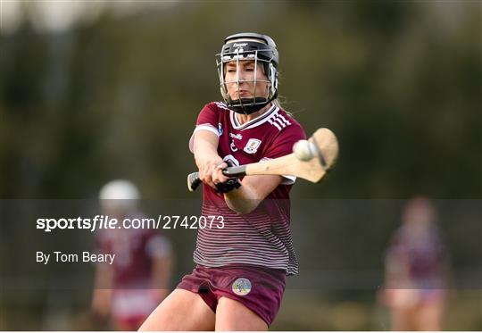 Tipperary v Galway - Very Camogie League Division 1