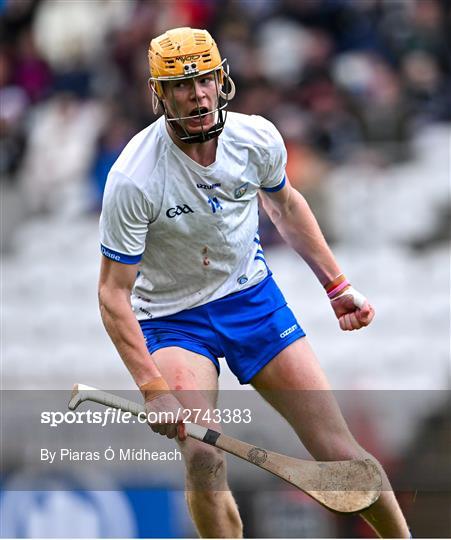 Cork v Waterford - Allianz Hurling League Division 1 Group A