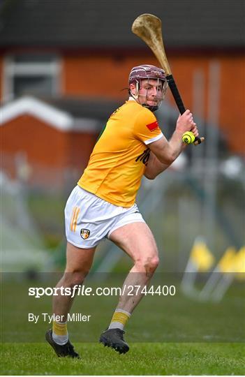 Antrim v Galway - Allianz Hurling League Division 1 Group B