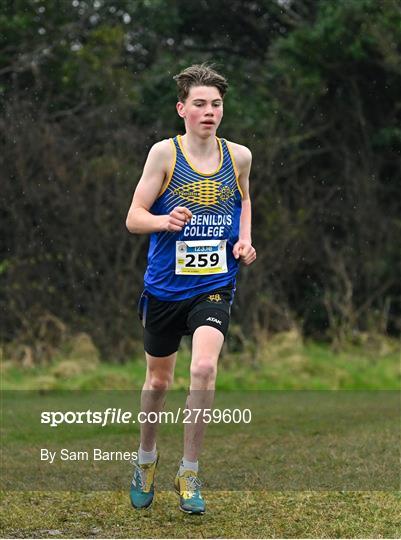 123.ie All Ireland Schools Cross Country Championships 2024