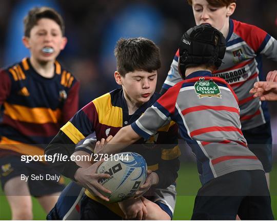 Bank of Ireland Half-time Minis at Leinster v Leiceser Tigers - Investec Champions Cup