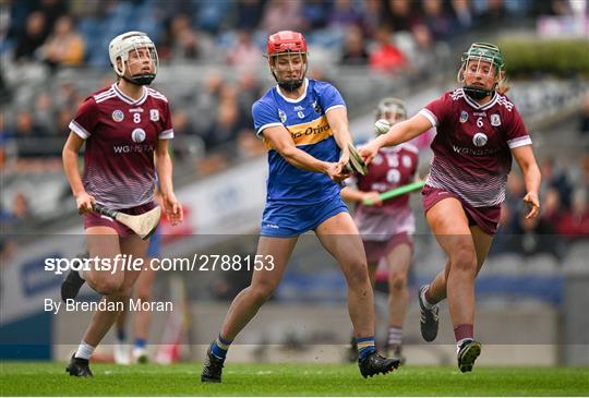 Tipperary v Galway - Very National Camogie League Division 1A Final