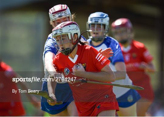 Cork v Waterford - Electric Ireland All-Ireland Camogie Minor A Semi-Final